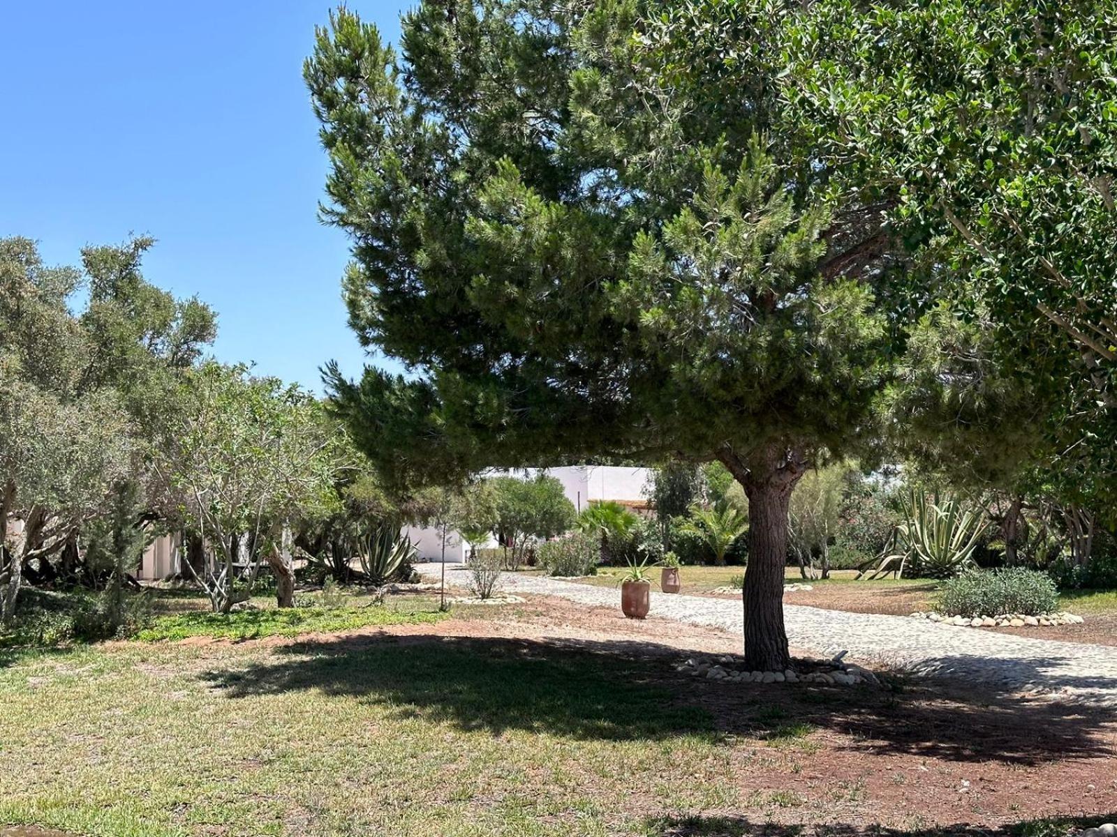 Domaine De L'Arganeraie Otel Al Ghar Dış mekan fotoğraf